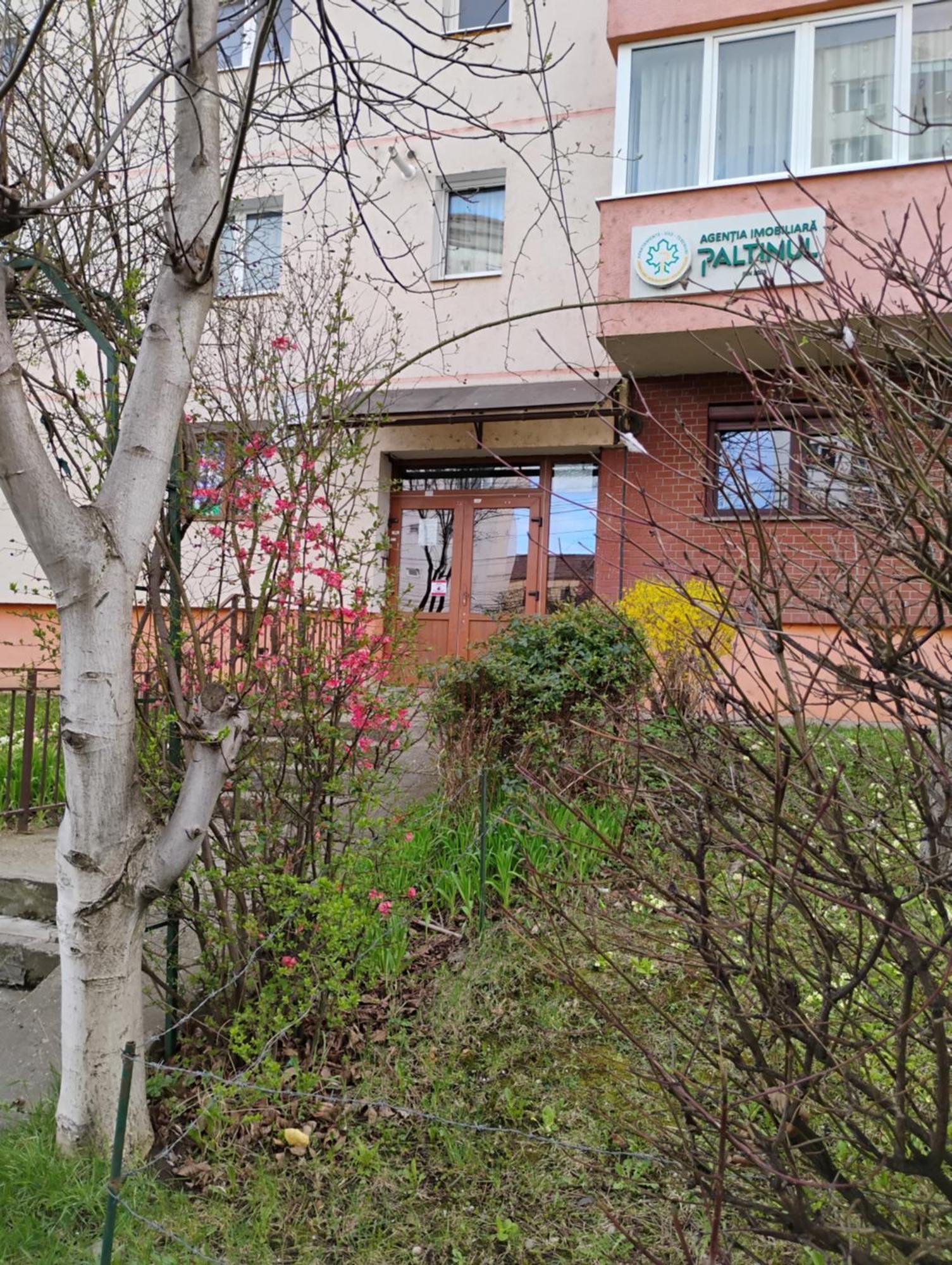 סיביו Apartament Acasa מראה חיצוני תמונה